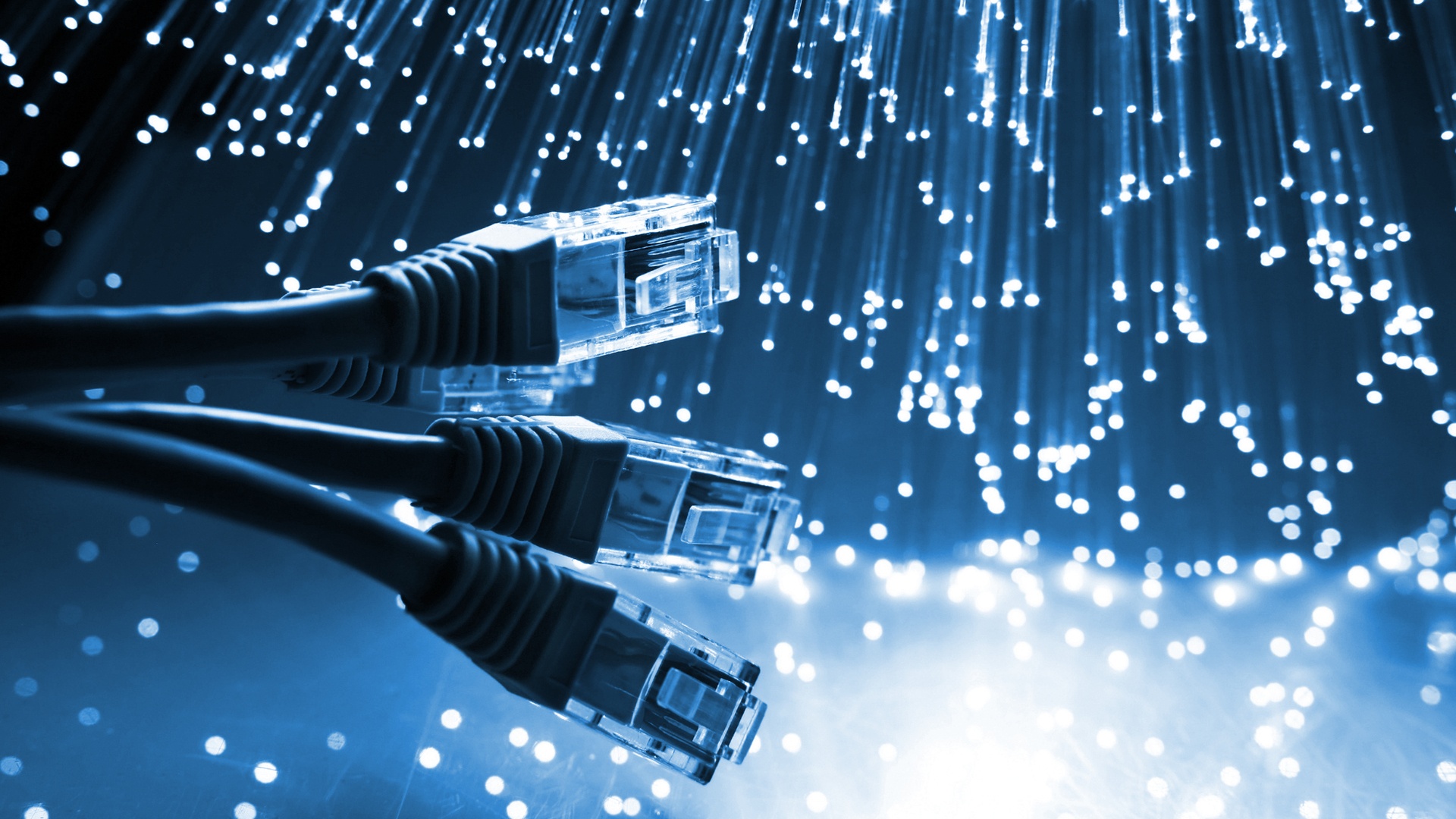 Patch cord